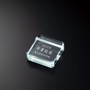 クリスタルメモクリップ DIO-402