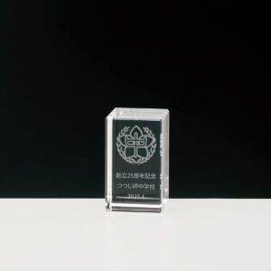 クリスタルブロック DIO-405