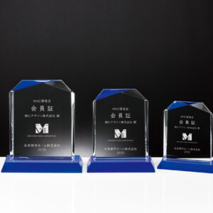 クリスタル彰状 DIO-699