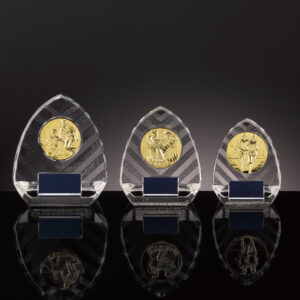 クリスタル楯 DIO-7461